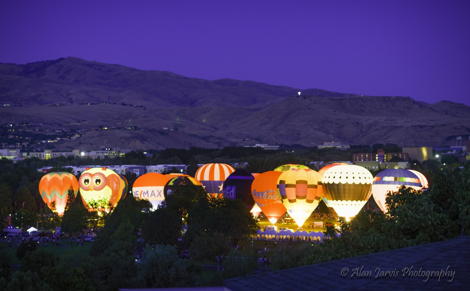 Platinum Peaks Property Management - Professional Services